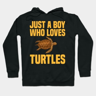 Marine Biologist Biology Turtles Fathers Day Gift Funny Retro Vintage Hoodie